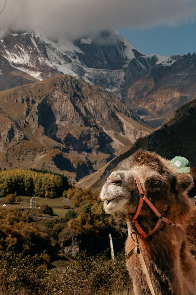 Photograph by Екатерина Нальгиева