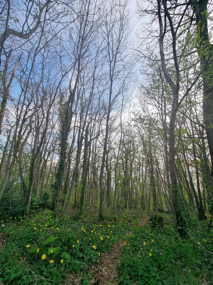 Фотография автора Наталья