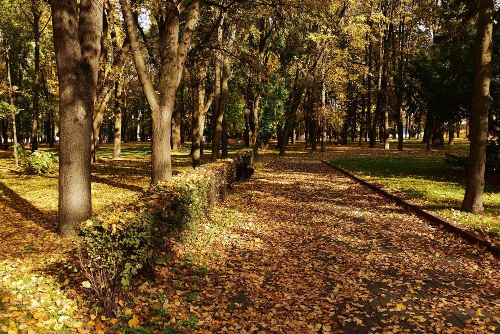 Photograph by Игорь Корнейчук