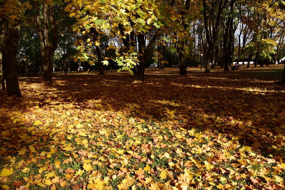 Photograph by Игорь Корнейчук