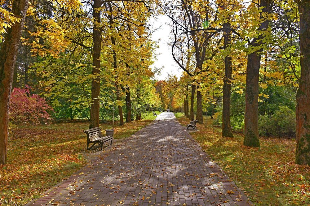 Photograph by Игорь Корнейчук