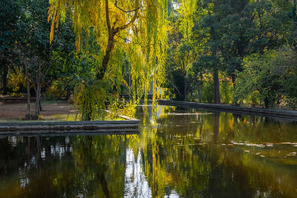 Фотография автора Андрей Симонов