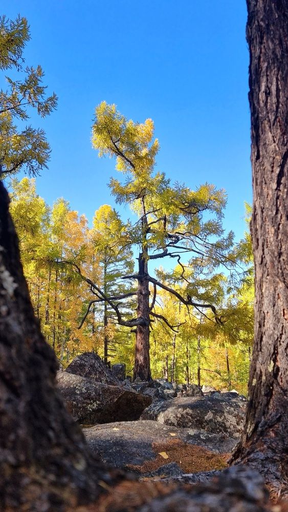 Photograph by Эдуард Горбов