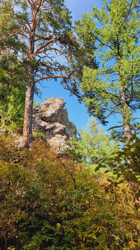 Photograph by Эдуард Горбов