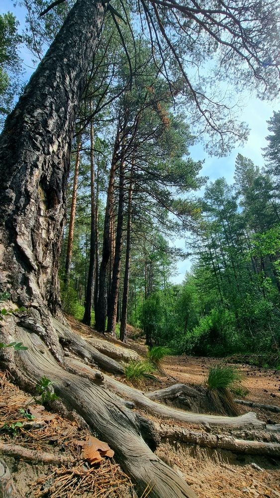 Photograph by Эдуард Горбов