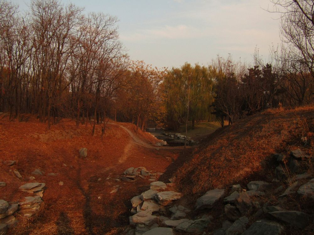 Photograph by Olga Kot