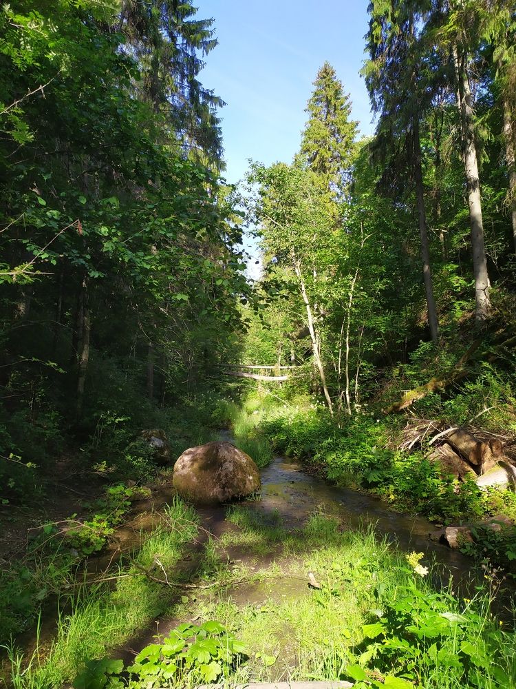 Photograph by Olga Kot