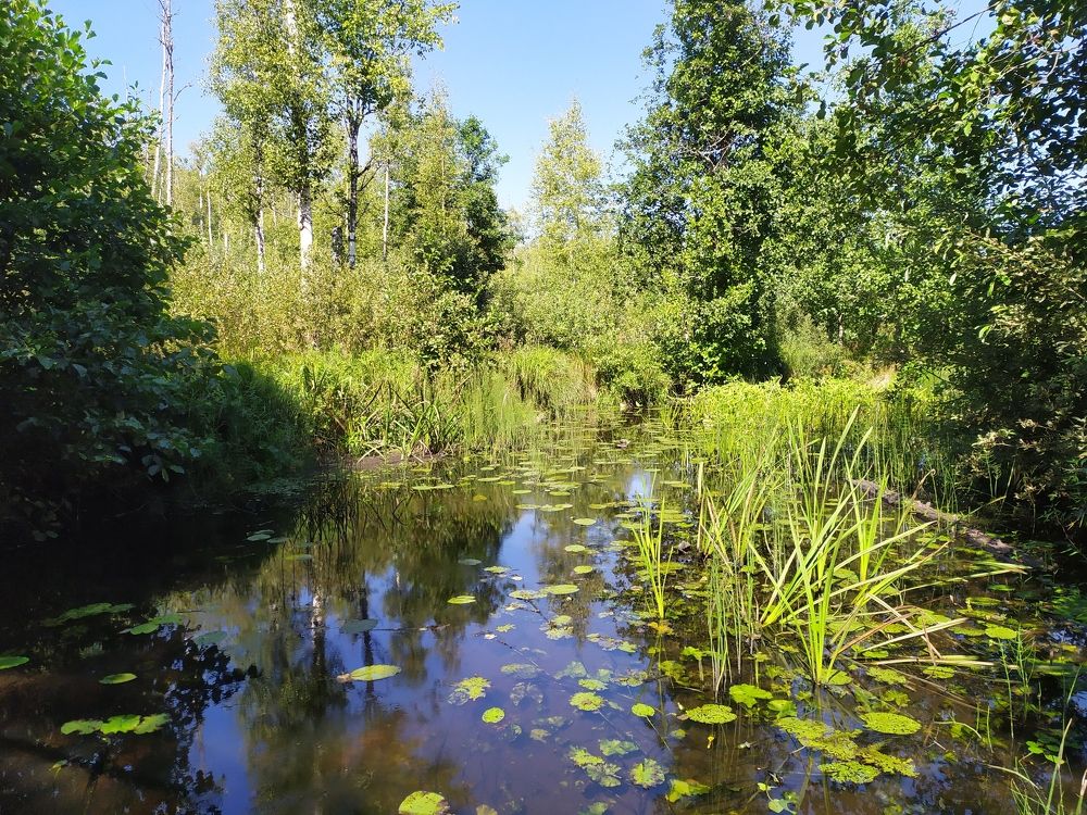 Photograph by Olga Kot