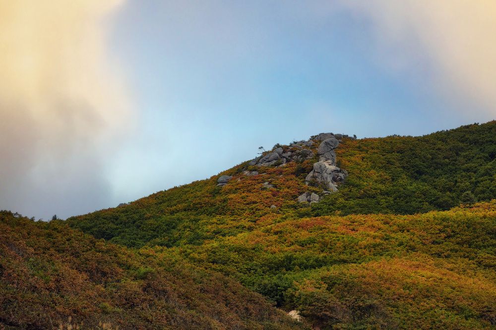 Photograph by Олег Мороз