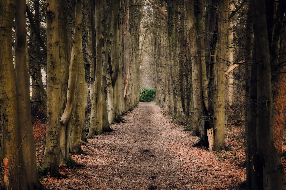 Photograph by Jacky Weckx