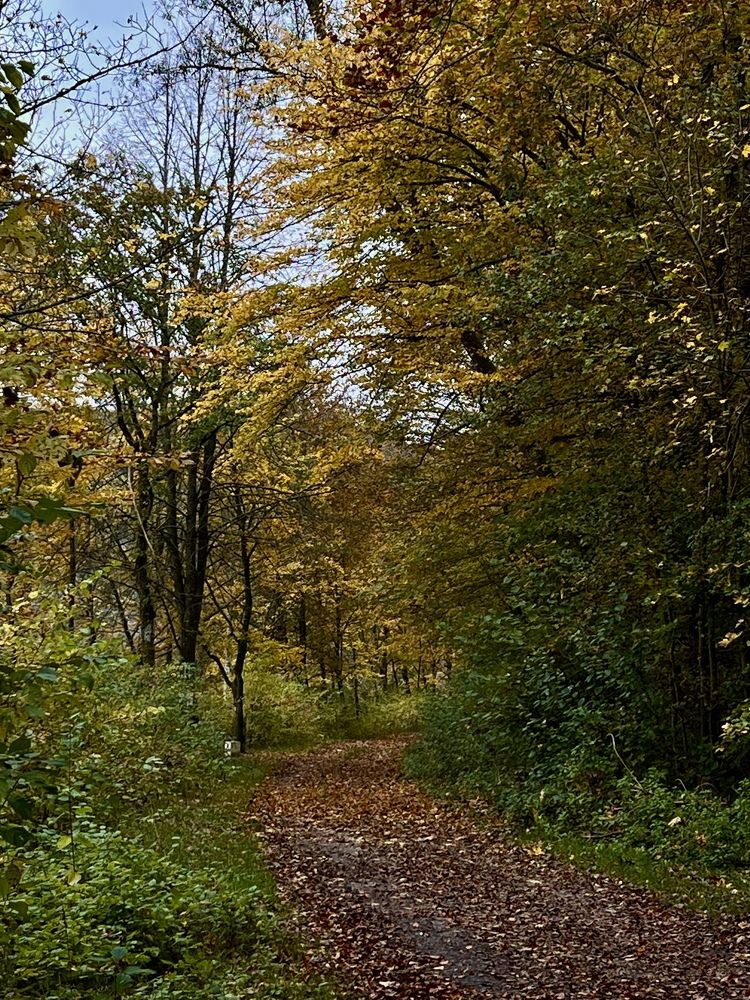 Photograph by Eugenia Schmidt