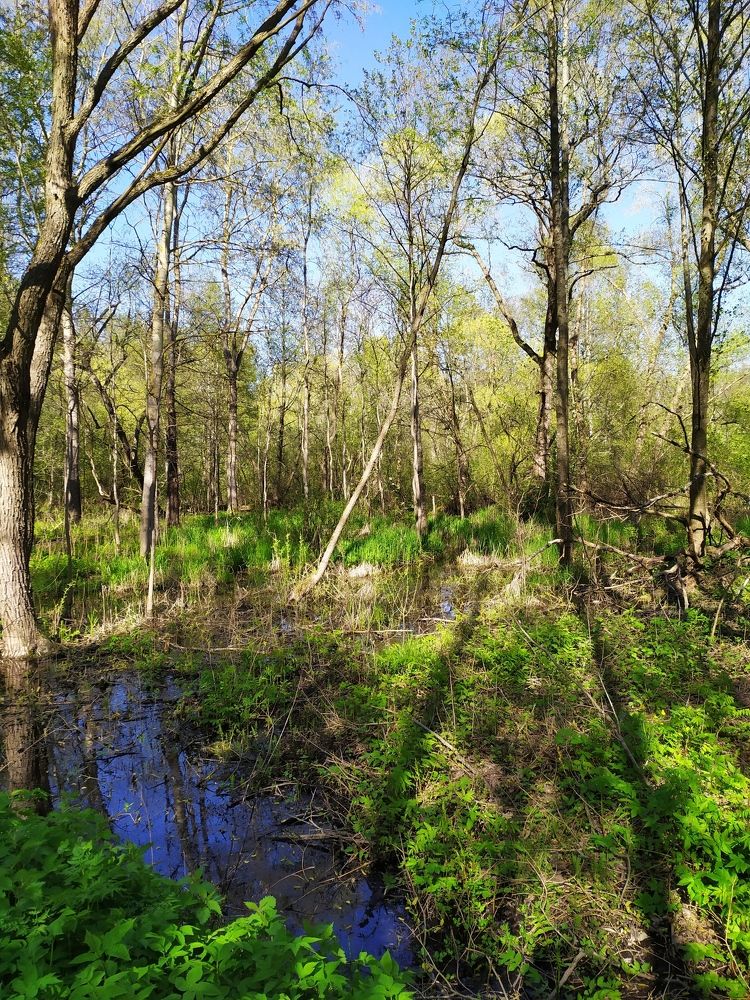 Photograph by Olga Kot