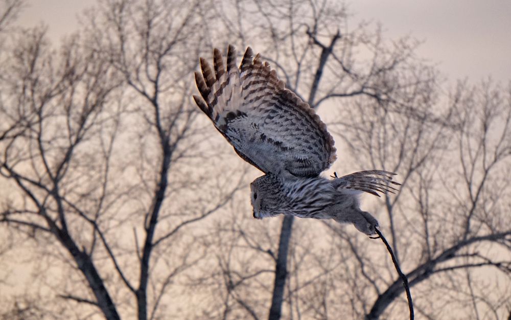 Photograph by Ксения Дудкина
