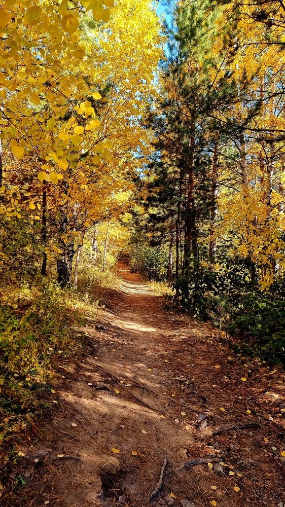 Photograph by Эдуард Горбов