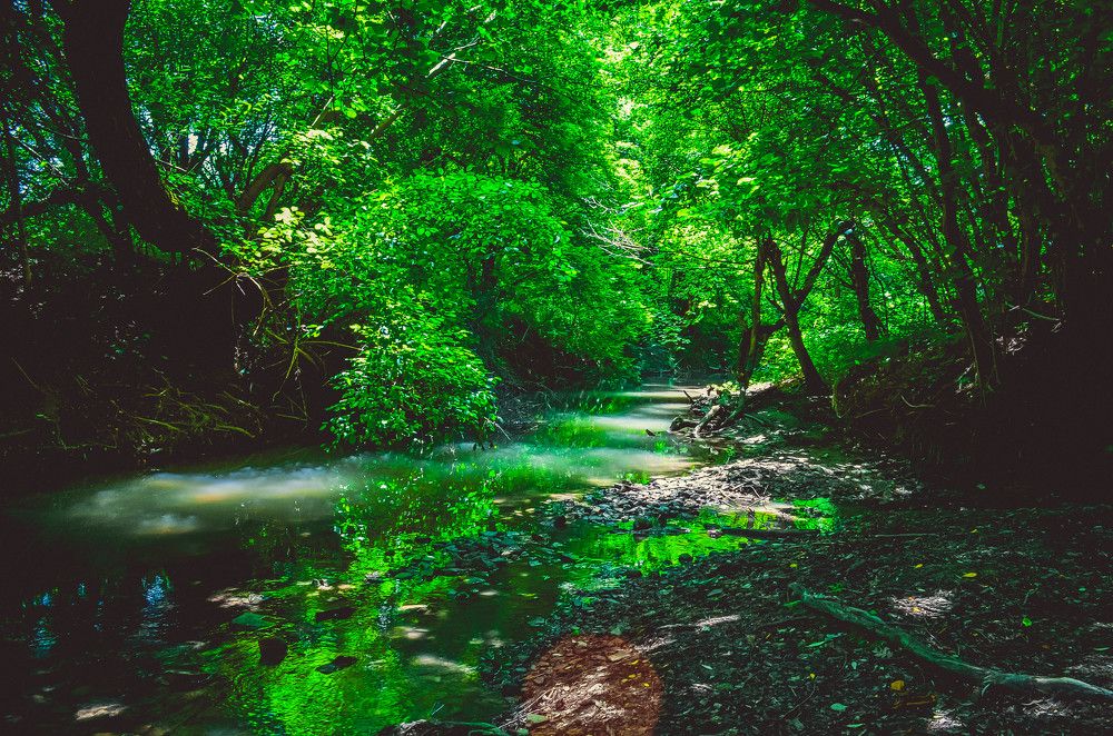 Photograph by Дмитрий Педченко