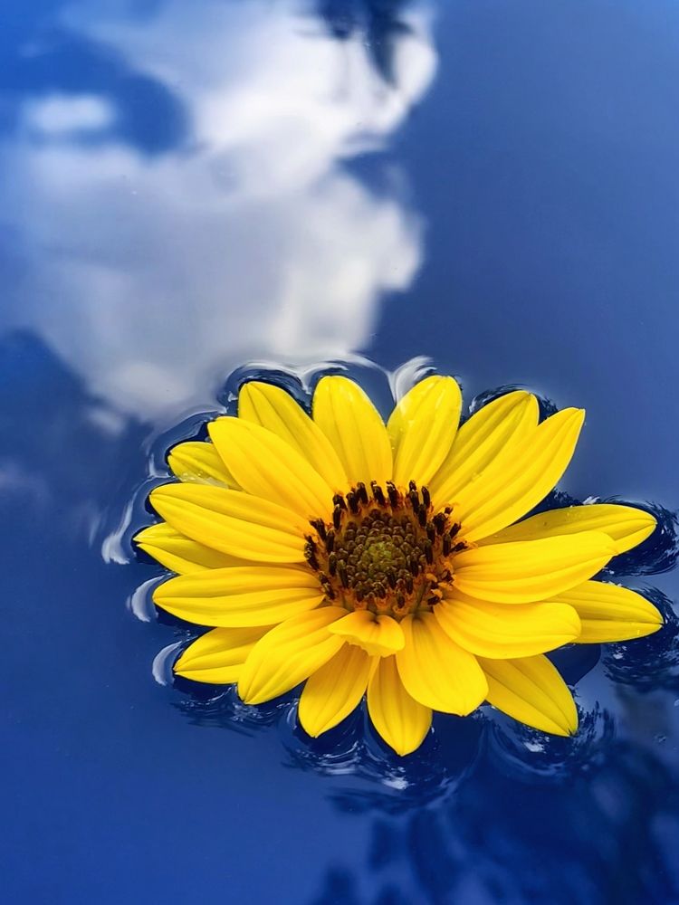 Краски лета