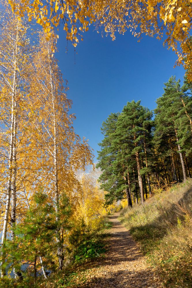 Photograph by Ксения Дудкина