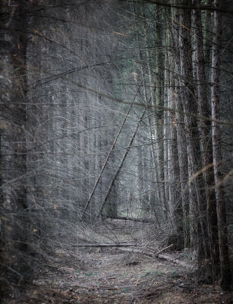 Photograph by Maxim Petrovsky