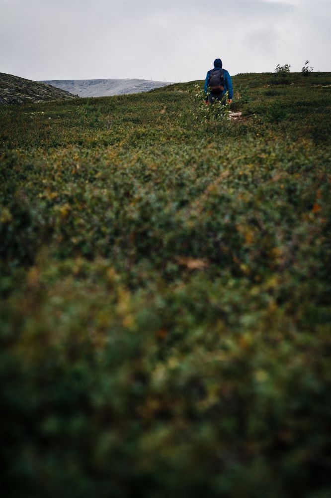 Photograph by Катя Цвет