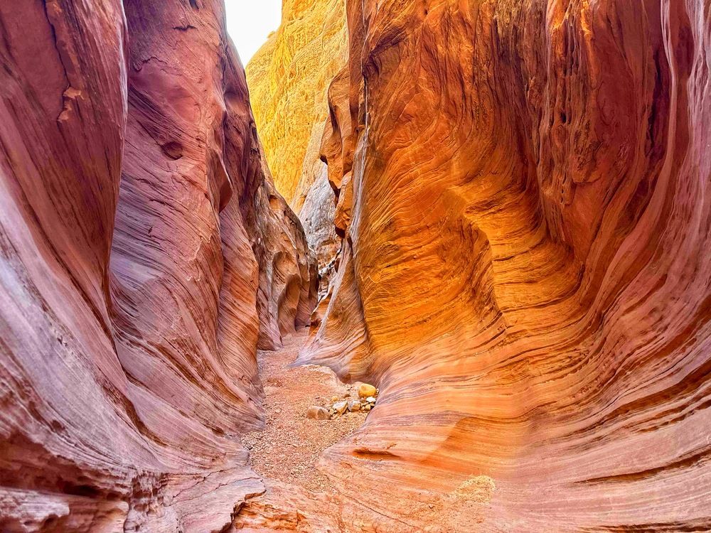 Photograph by Berta Enrico