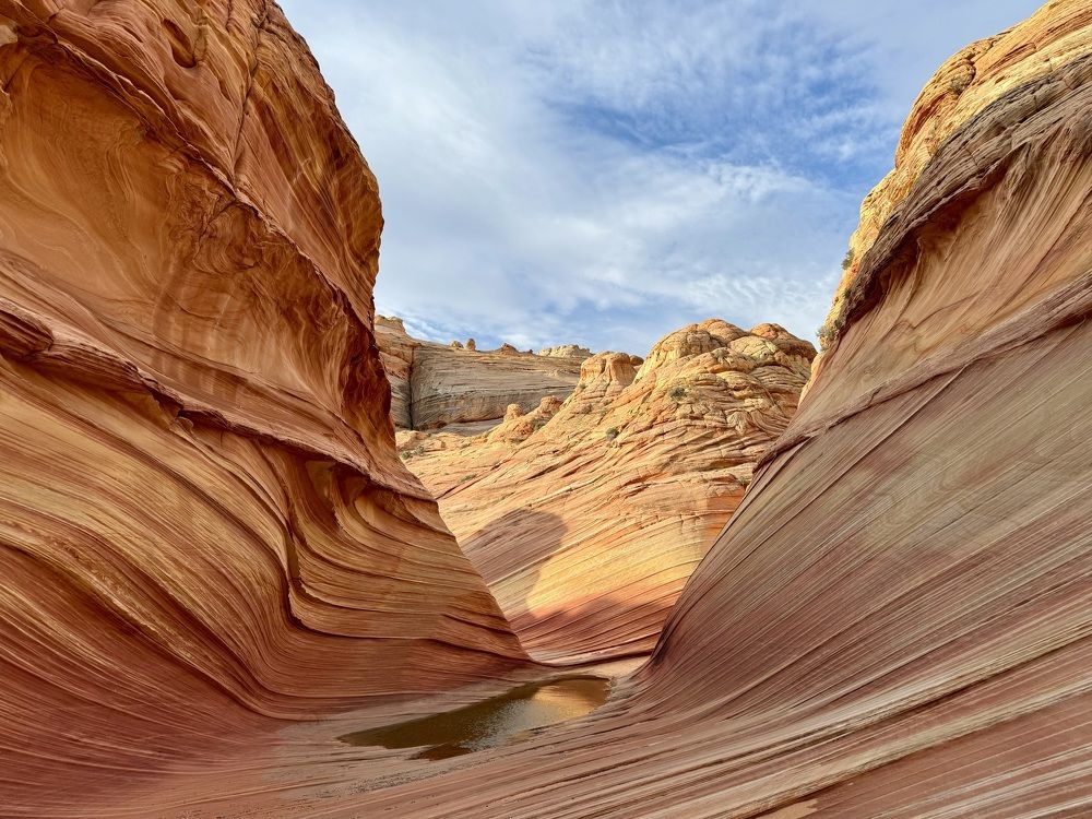 Photograph by Berta Enrico