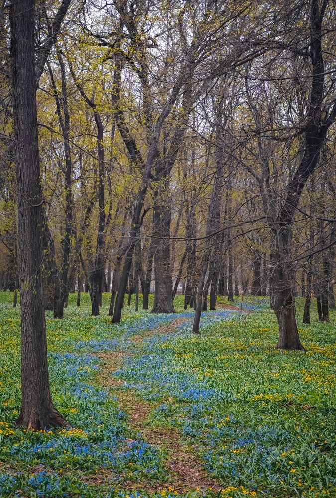 Photograph by Владимир Фролов