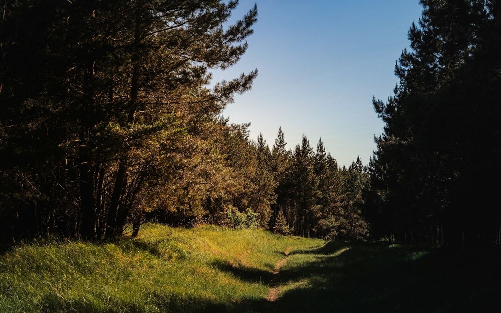 Photograph by Владимир Фролов