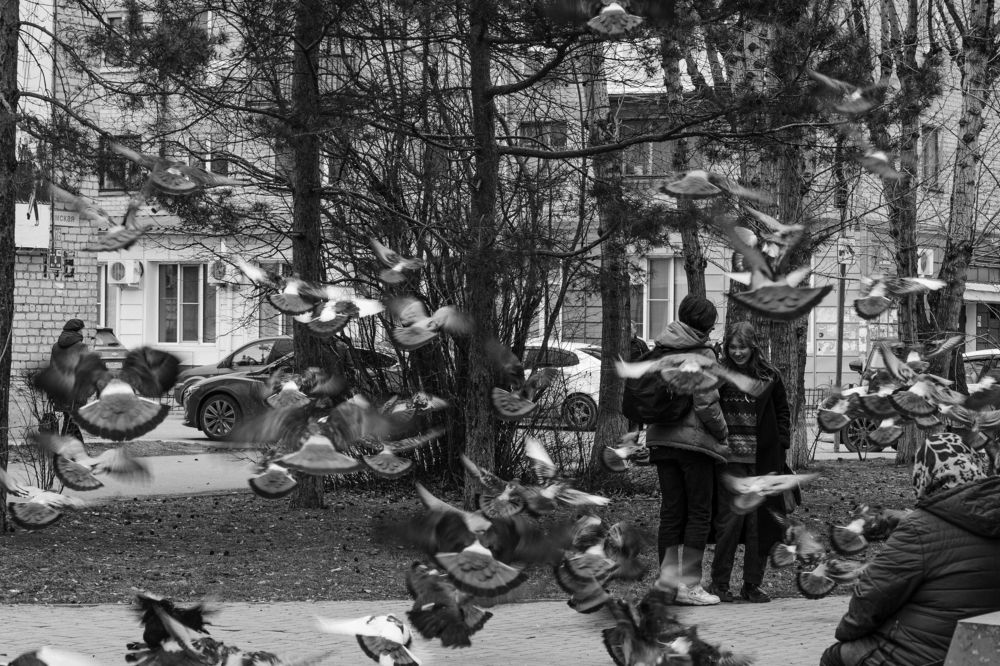 Photograph by Александр Шалагин