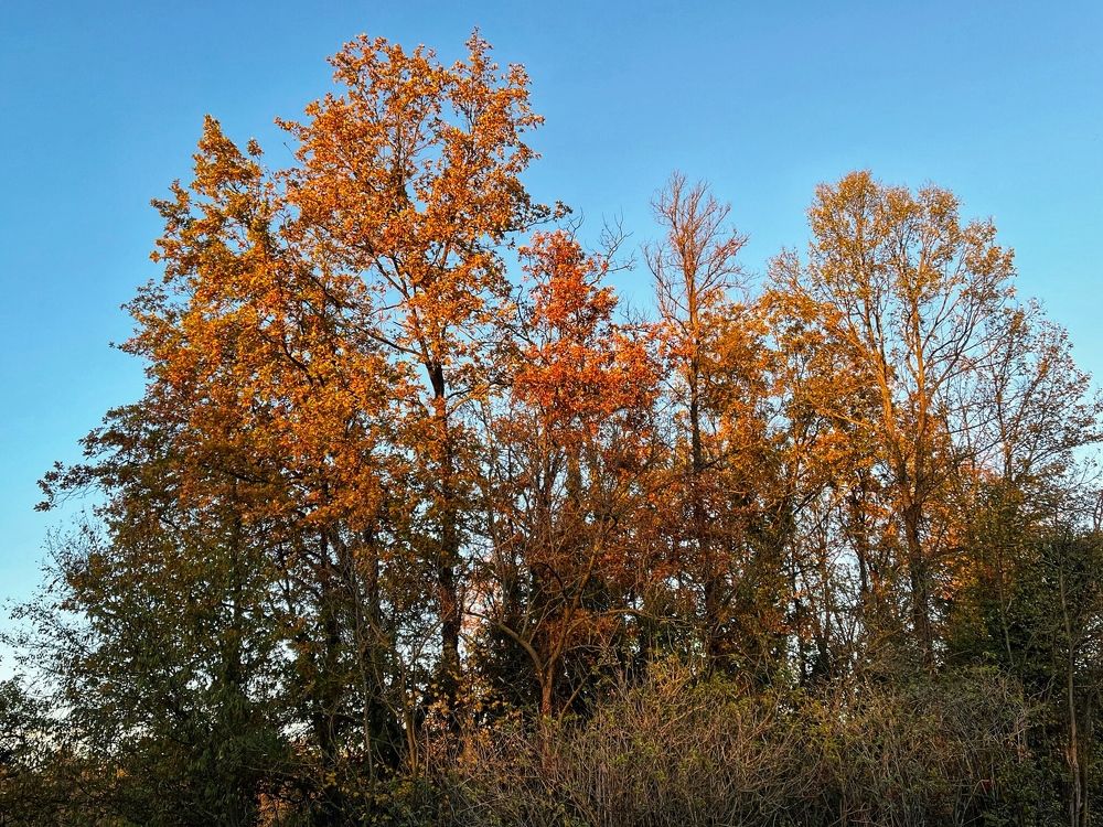 Photograph by Berta Enrico