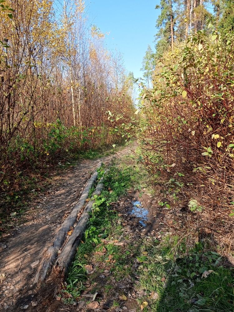 Photograph by Людмила М