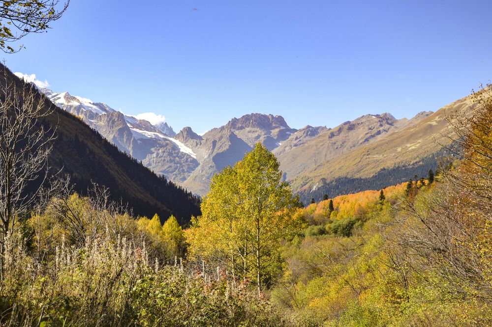 Photograph by Меркулова Наталья Геннадьевна