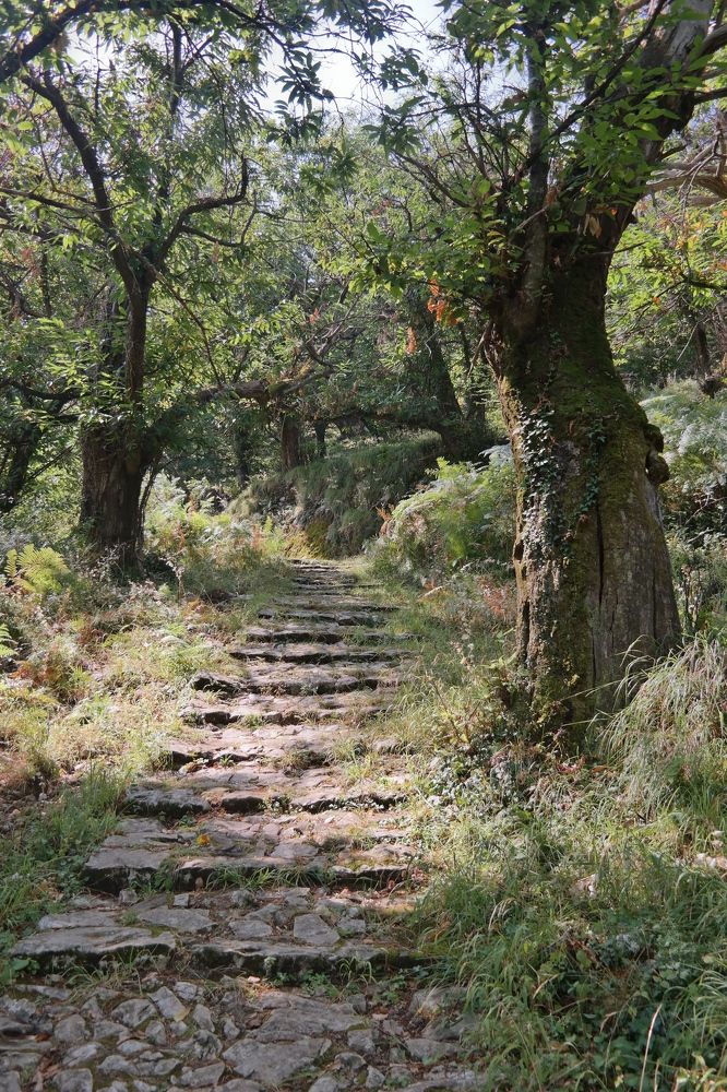 Photograph by Ilja Stroganov