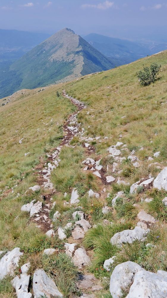 Photograph by Ilja Stroganov