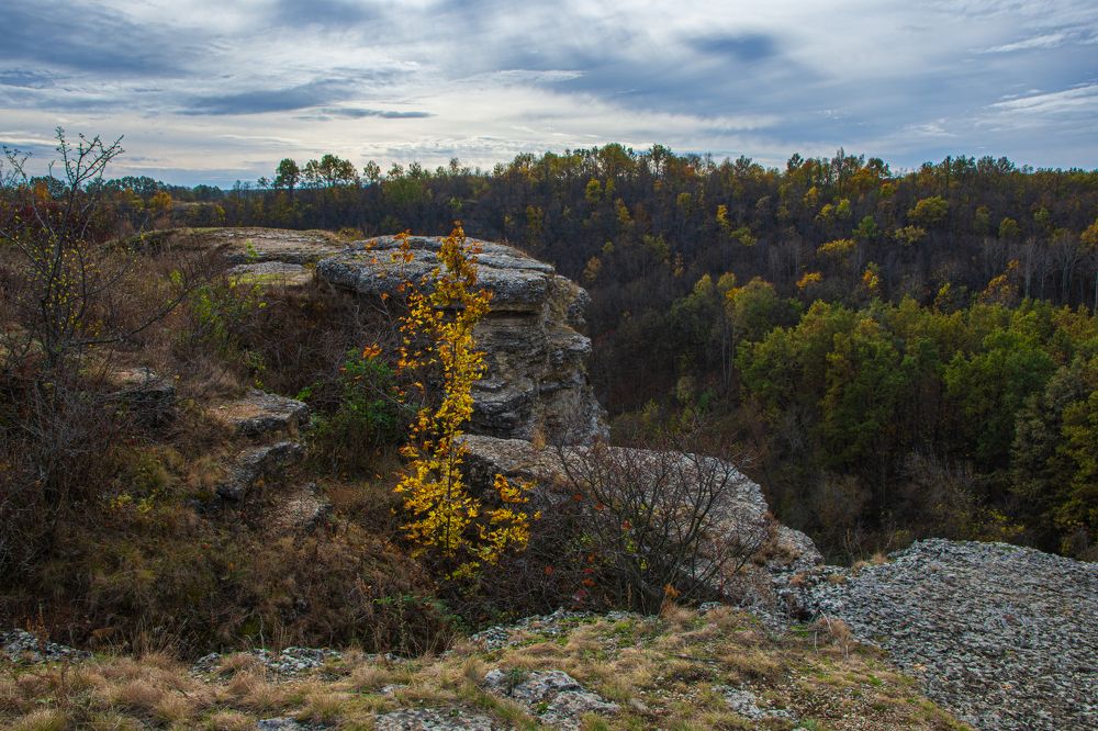 Photograph by Алексей Кузьмин