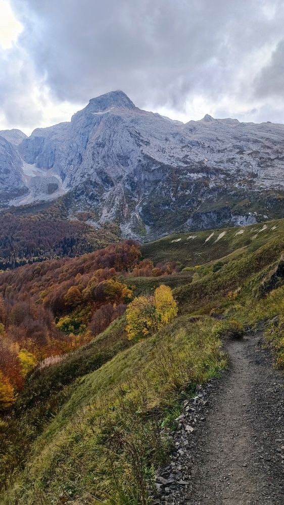 Photograph by Виталий Мартынов