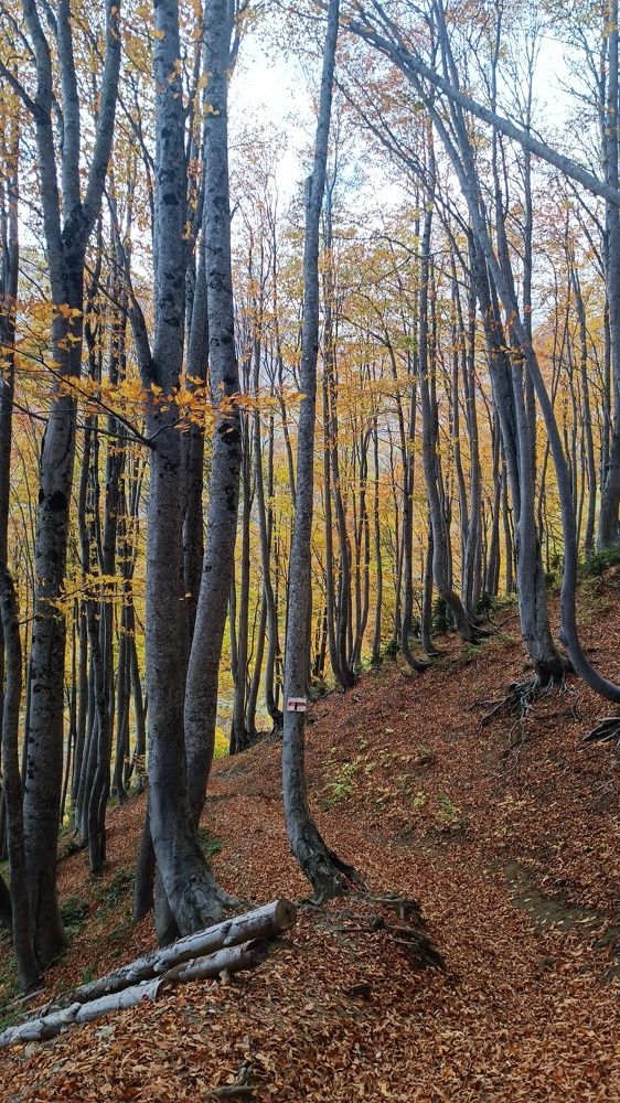 Photograph by Виталий Мартынов