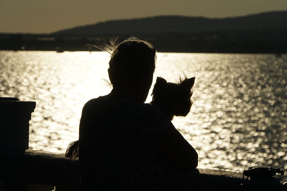 Photograph by сергей мишаков