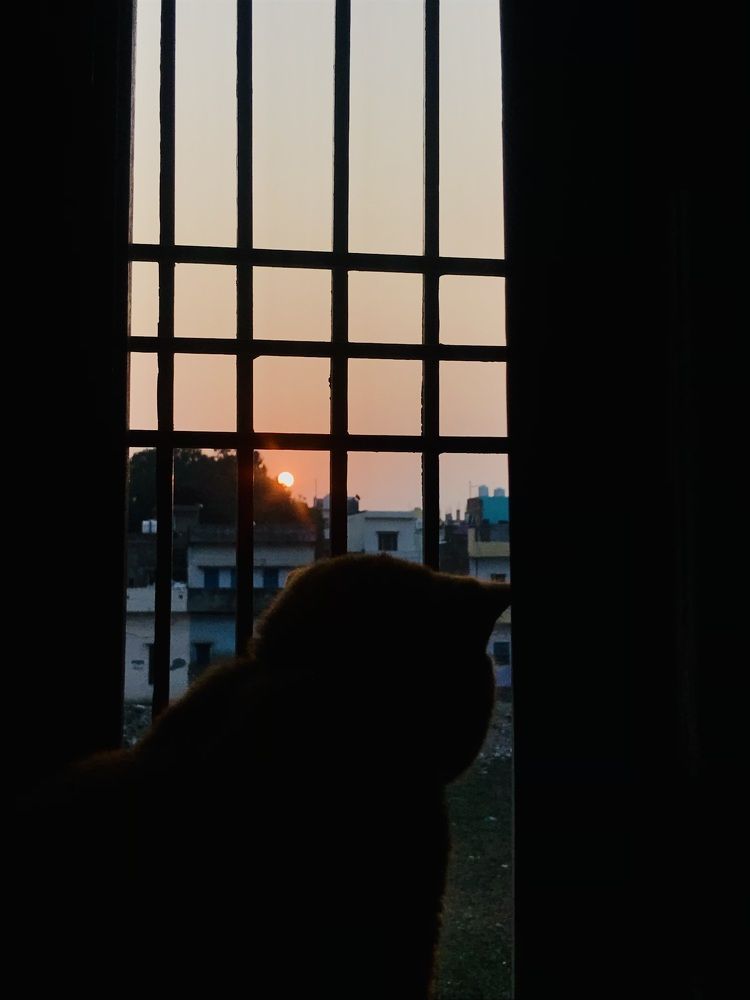 Фотография автора Rupsha Bose