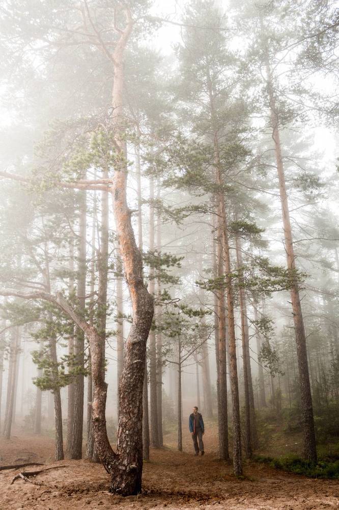 Photograph by Катя Цвет