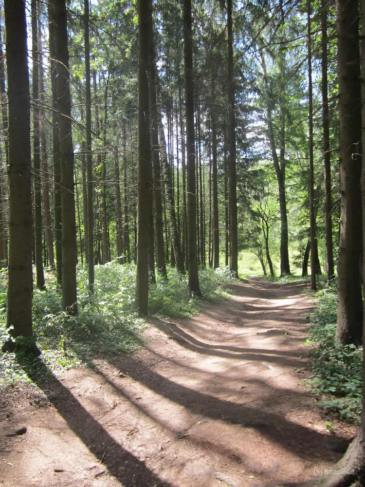 Yasnaya Polyana estate  Усадьба Ясная Поляна