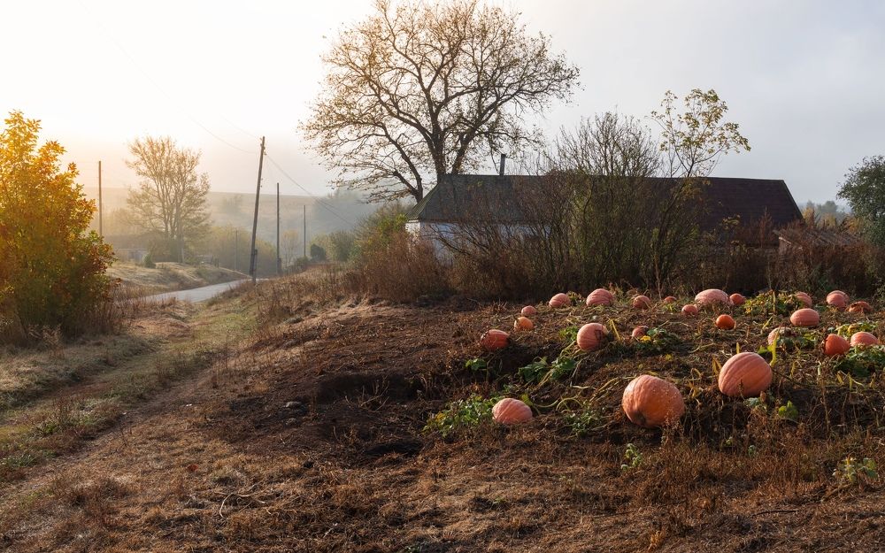 Фотография автора Михаил Назаров