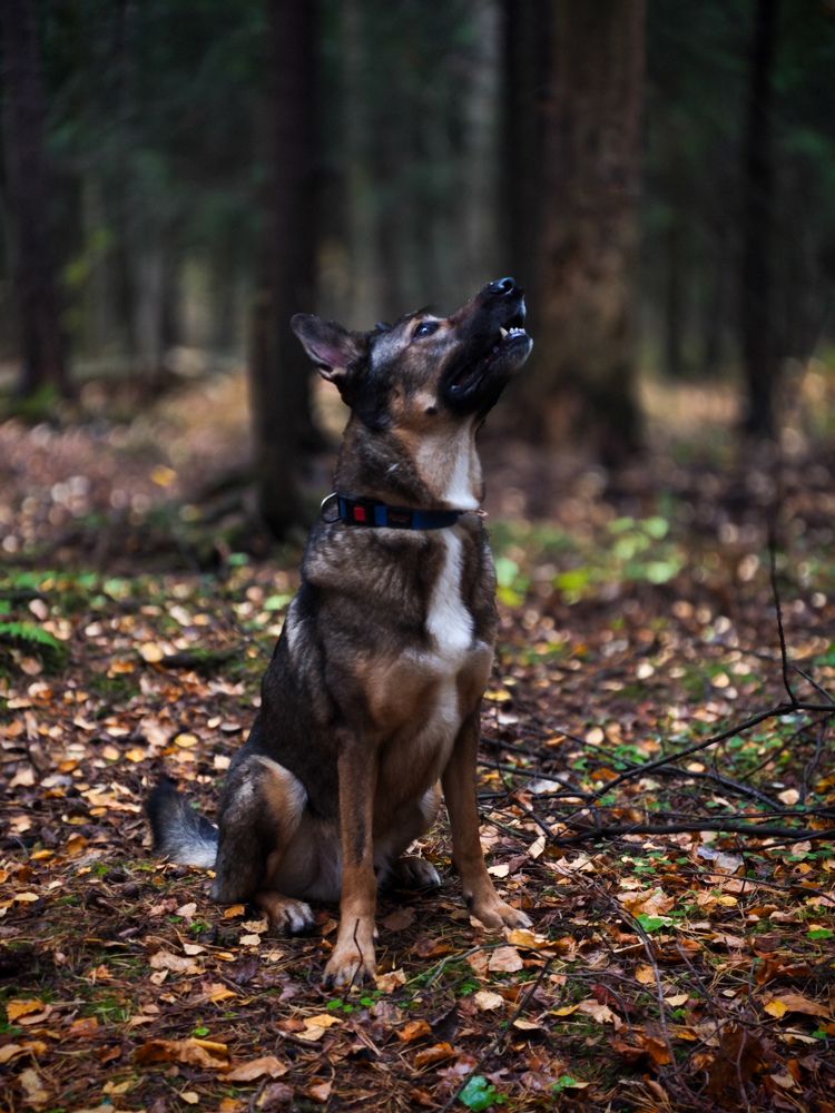 Photograph by Людмила Сарыцина