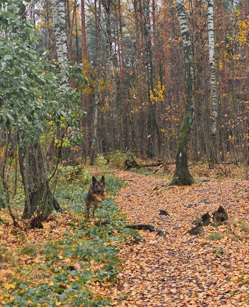Photograph by Людмила Сарыцина