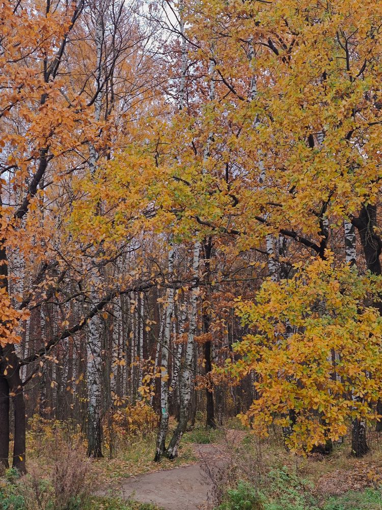 Photograph by Людмила Сарыцина