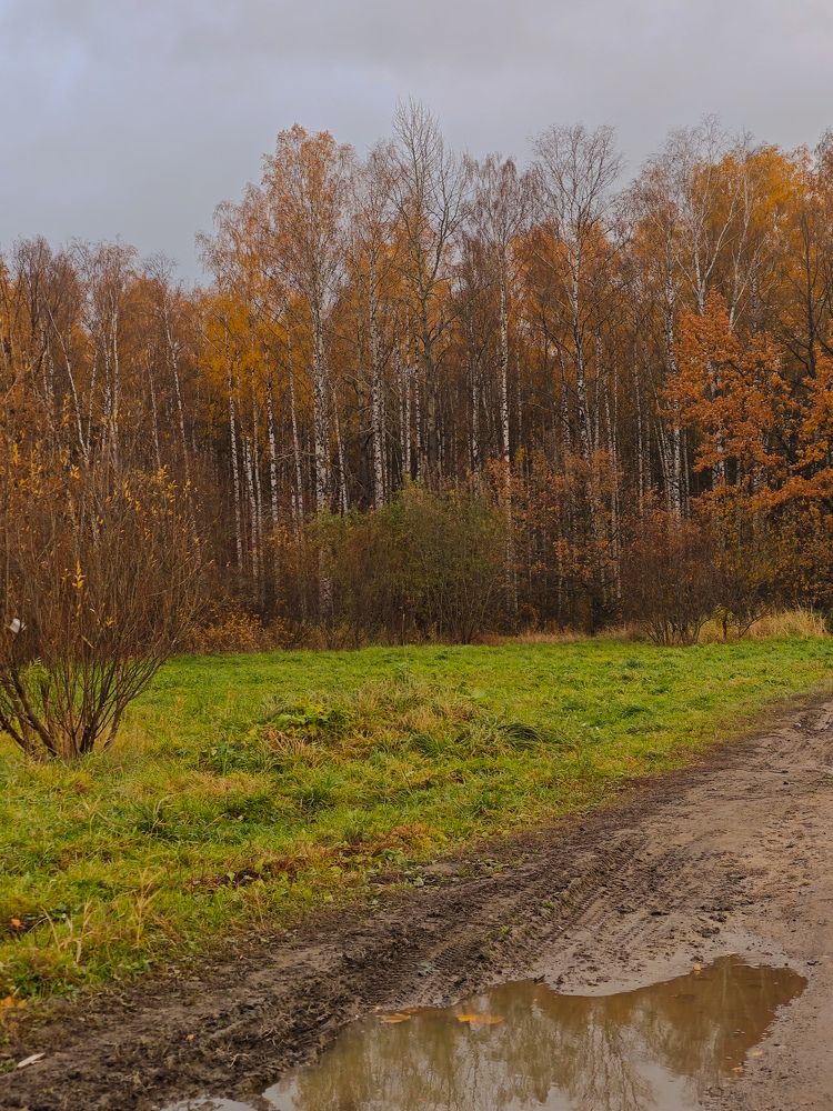 Photograph by Людмила Сарыцина