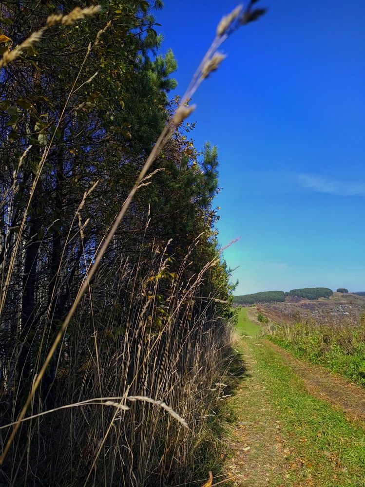 Photograph by Ольга Юминова