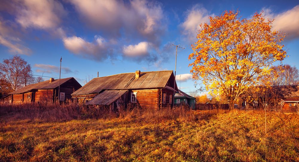 Photograph by Васенков Геннадий