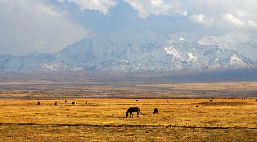 Кыргыстан, Сары-Могол.