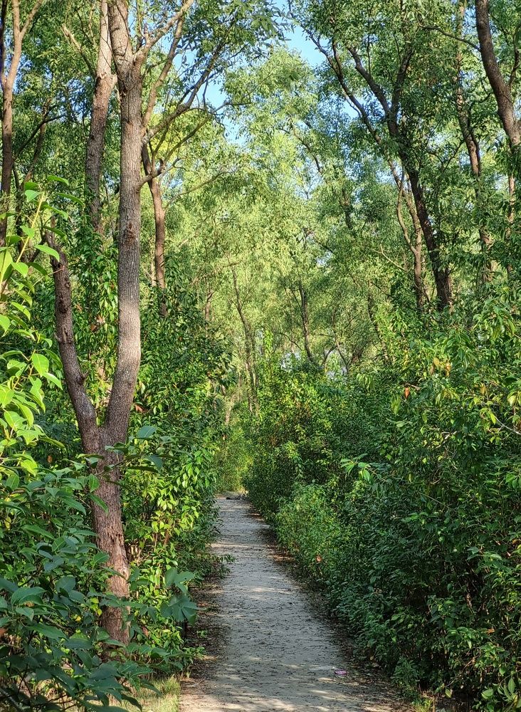 Photograph by Florence Rozario