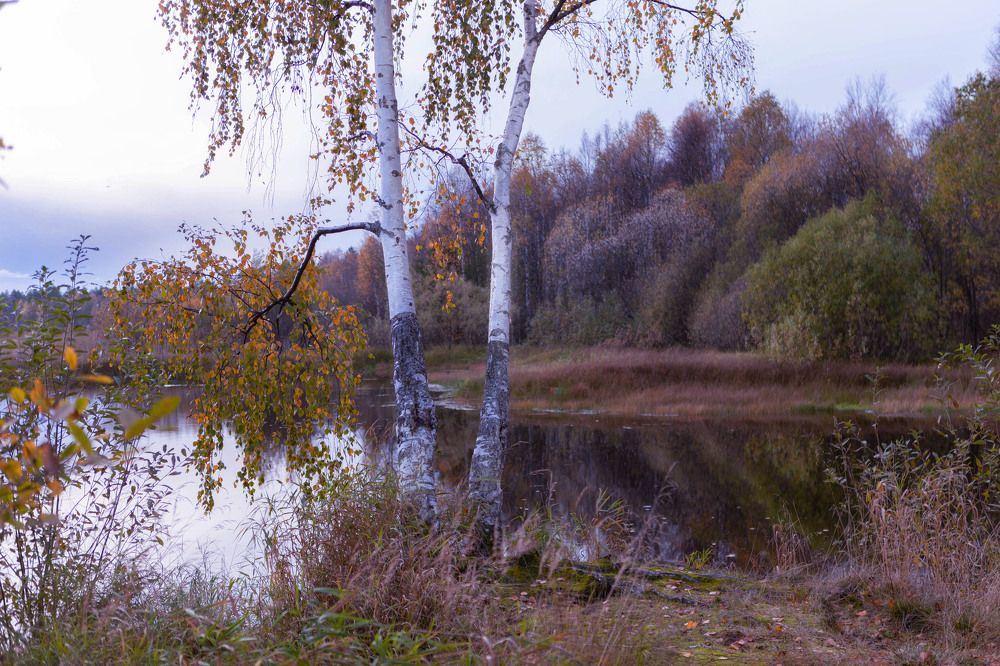 Photograph by Наталья Вторыгина